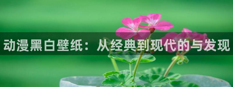 生里番动漫在线观看:动漫黑白壁纸:从经典到现代的与发现配图