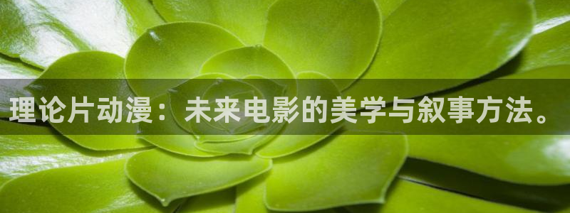 动漫里番肉在线观看：理论片动漫：未来电影的美学与叙事方法。配图