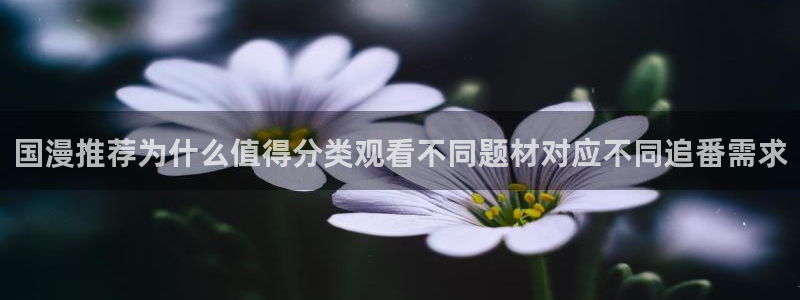 里番午夜动漫在线观看:国漫推荐为什么值得分类观看不同题材对应不同追番需求配图