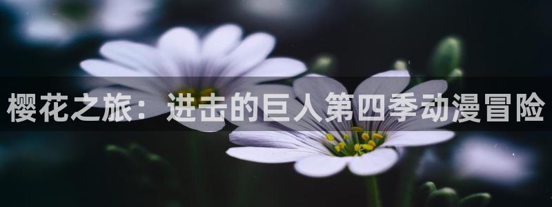 里番动漫A片在线观看:樱花之旅:进击的巨人第四季动漫冒险配图
