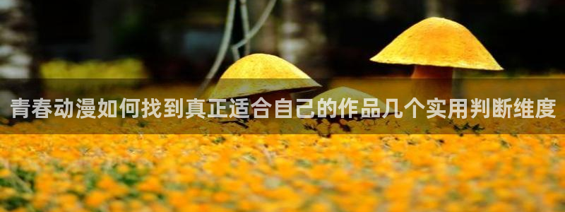 里番卡通动漫在线观看:青春动漫如何找到真正适合自己的作品几个实用判断维度配图