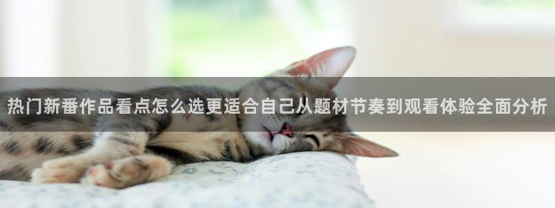 鬼父里番动漫在线观看:热门新番作品看点怎么选更适合自己从题材节奏到观看体验全面分析配图