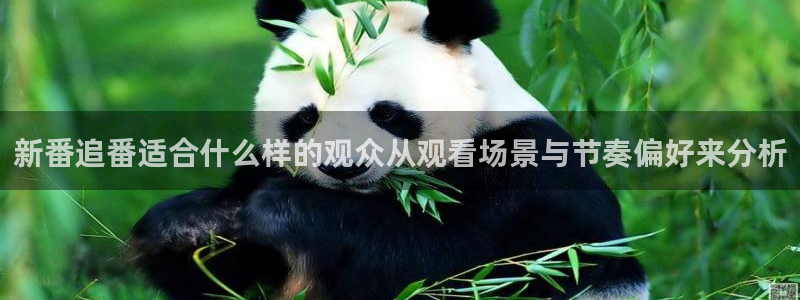 肉里番动漫在线观看:新番追番适合什么样的观众从观看场景与节奏偏好来分析配图