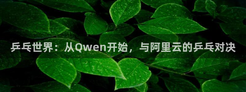 有码里番动漫在线观看:乒乓世界:从Qwen开始,与阿里云的乒乓对决配图