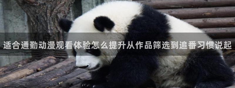 中文里番动漫在线观看：适合通勤动漫观看体验怎么提升从作品筛选到追番习惯说起配图