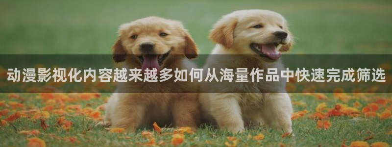 成年动漫在线观看番里:动漫影视化内容越来越多如何从海量作品中快速完成筛选配图