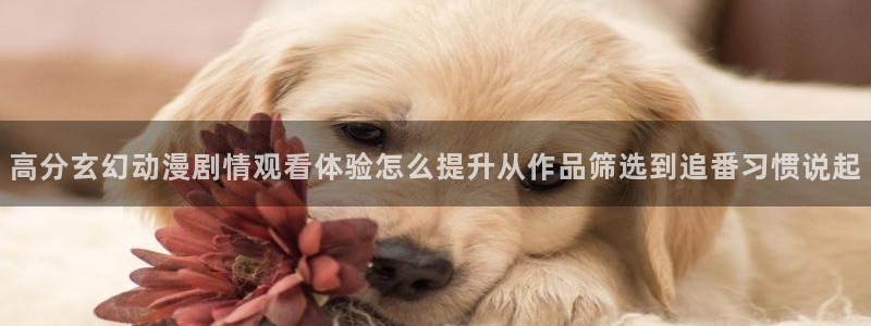 日系里番在线观看动漫:高分玄幻动漫剧情观看体验怎么提升从作品筛选到追番习惯说起配图