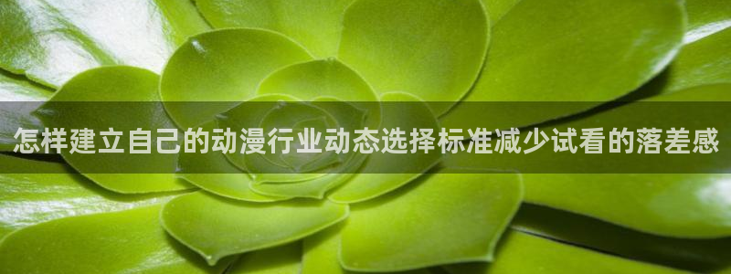 动漫在线里番观看:怎样建立自己的动漫行业动态选择标准减少试看的落差感配图