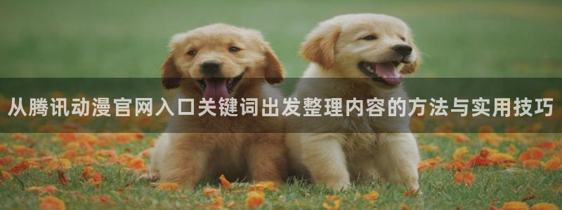3动漫里番在线观看:从腾讯动漫官网入口关键词出发整理内容的方法与实用技巧配图