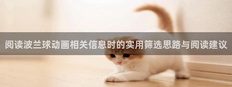 里番动漫全彩在线观看:阅读波兰球动画相关信息时的实用筛选思路与阅读建议配图