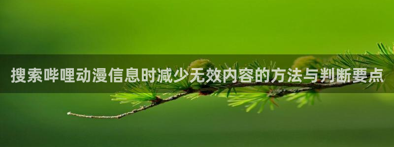 h里番动漫在线观看:搜索哔哩动漫信息时减少无效内容的方法与判断要点配图