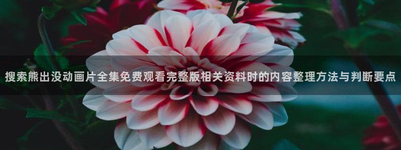 晚安动漫里番在线观看:搜索熊出没动画片全集免费观看完整版相关资料时的内容整理方法与判断要点配图