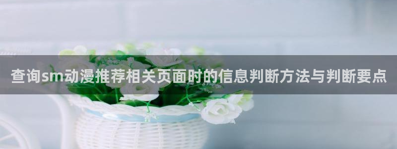 绅士里番动漫在线观看:查询sm动漫推荐相关页面时的信息判断方法与判断要点配图